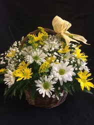 Daisies In A Basket Bouquet from Philips' Flower & Gift Shop