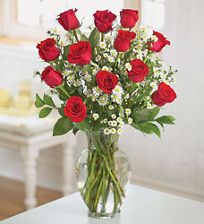 12 Red Roses Arranged from Philips' Flower & Gift Shop