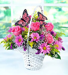 Butterflies and Blooms Bouquet from Philips' Flower & Gift Shop
