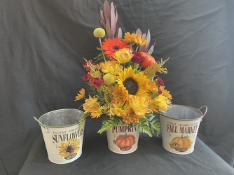 FALL HARVEST BOUQUET from Philips' Flower & Gift Shop
