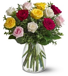 A Dozen Mixed Roses from Philips' Flower & Gift Shop