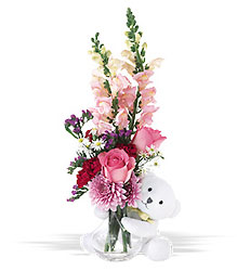Bear Hug Bouquet from Philips' Flower & Gift Shop
