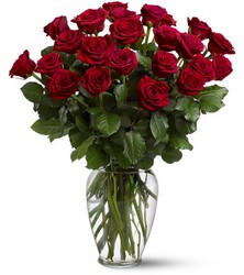 Two Dozen Red Roses from Philips' Flower & Gift Shop