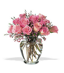 1 Dozen Pink Roses Arrangement from Philips' Flower & Gift Shop