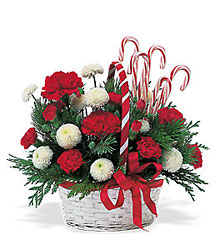 Candy Cane Basket from Philips' Flower & Gift Shop