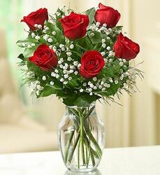 6 Red Roses Arranged