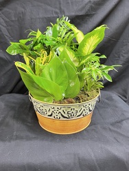 Tin Ware Green Planter from Philips' Flower & Gift Shop