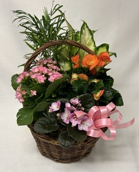 Blooming Garden Basket from Philips' Flower & Gift Shop