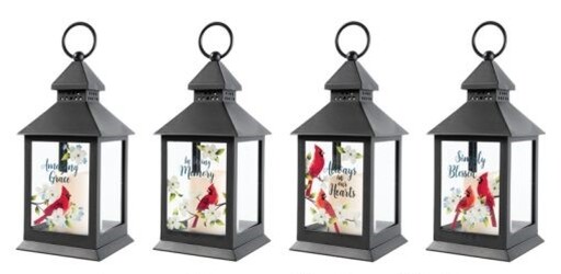 Small Cardinal Lanterns from Philips' Flower & Gift Shop