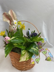 Easter Blooms Basket from Philips' Flower & Gift Shop