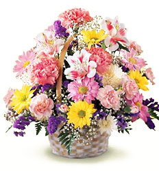 Basket Of Cheer Bouquet from Philips' Flower & Gift Shop