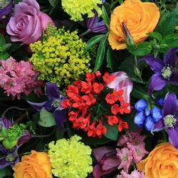 Designer's Choice Arrangment from Philips' Flower & Gift Shop
