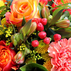 Designer's Choice Arrangment from Philips' Flower & Gift Shop