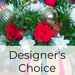 Designer's Choice Arrangment from Philips' Flower & Gift Shop