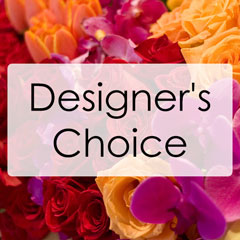 Designer's Choice Sympathy Arrangement from Philips' Flower & Gift Shop