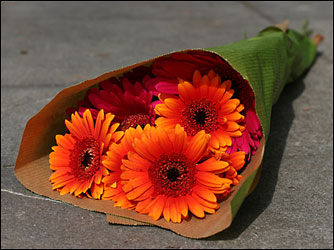 WRAPPED FRESH CUT FLOWERS from Philips' Flower & Gift Shop