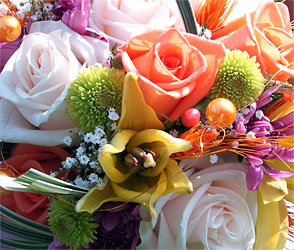 Designer's Choice Arrangment from Philips' Flower & Gift Shop