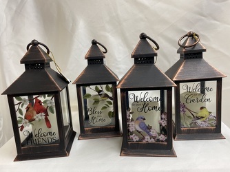 Small Garden Lanterns from Philips' Flower & Gift Shop