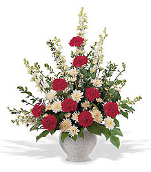 Vivid Sentiments Vase from Philips' Flower & Gift Shop